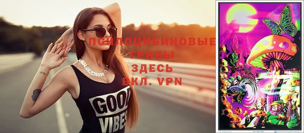 прущие грибы Алексин