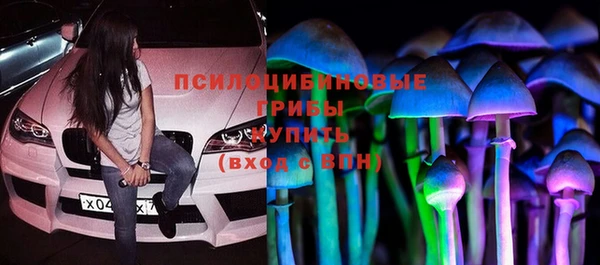 винт Алзамай