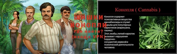 прущие грибы Алексин