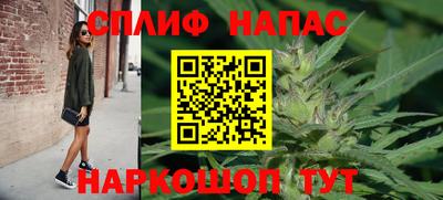 ГАЛЛЮЦИНОГЕННЫЕ ГРИБЫ Свободный