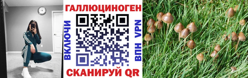 Галлюциногенные грибы Psilocybine cubensis  купить   Тобольск 