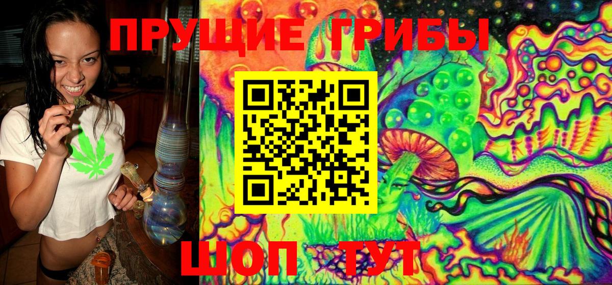 Галлюциногенные грибы прущие грибы  Вход с VPN  Тобольск 